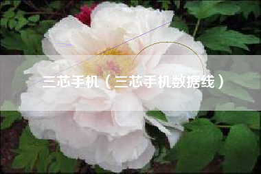 三芯手机（三芯手机数据线）