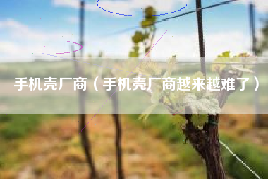 手机壳厂商（手机壳厂商越来越难了）