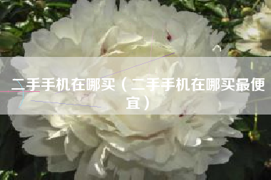 二手手机在哪买（二手手机在哪买最便宜）