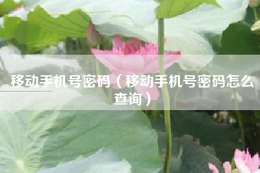 移动手机号密码（移动手机号密码怎么查询）