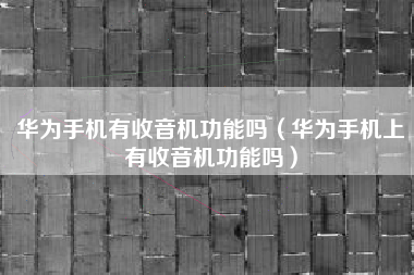 华为手机有收音机功能吗（华为手机上有收音机功能吗）
