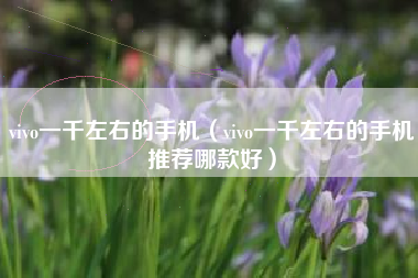vivo一千左右的手机（vivo一千左右的手机推荐哪款好）
