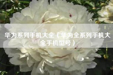华为系列手机大全（华为全系列手机大全手机型号）