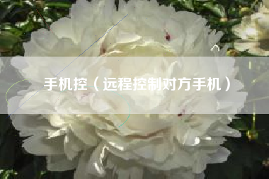 手机控（远程控制对方手机）