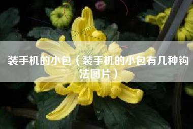 装手机的小包（装手机的小包有几种钩法图片）
