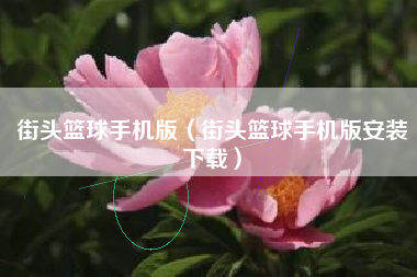 街头篮球手机版（街头篮球手机版安装下载）