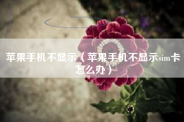 苹果手机不显示（苹果手机不显示sim卡怎么办）
