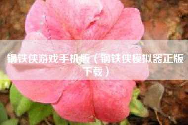 钢铁侠游戏手机版（钢铁侠模拟器正版下载）