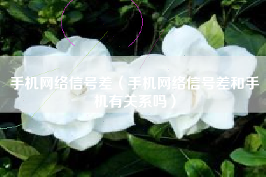 手机网络信号差（手机网络信号差和手机有关系吗）