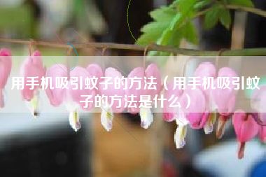 用手机吸引蚊子的方法（用手机吸引蚊子的方法是什么）