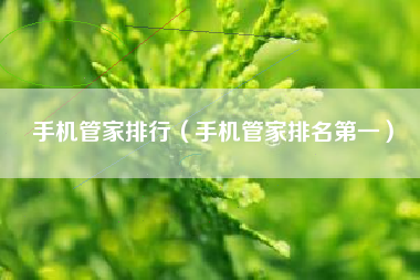 手机管家排行（手机管家排名第一）