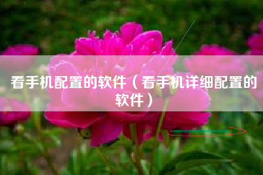 看手机配置的软件（看手机详细配置的软件）