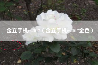 金立手机m2017（金立手机m2017金色）