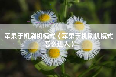 苹果手机刷机模式（苹果手机刷机模式怎么进入）