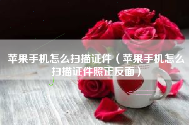 苹果手机怎么扫描证件（苹果手机怎么扫描证件照正反面）