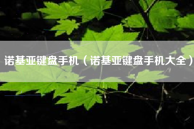 诺基亚键盘手机（诺基亚键盘手机大全）