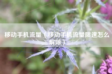 移动手机流量（移动手机流量限速怎么解除）