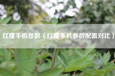 红魔手机参数（红魔手机参数配置对比）