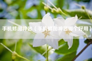 手机修图神器（手机修图神器哪个好用）