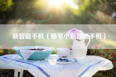 新智能手机（蜡笔小新智能手机）