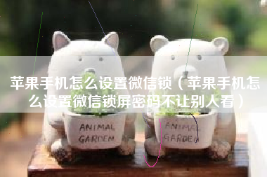 苹果手机怎么设置微信锁（苹果手机怎么设置微信锁屏密码不让别人看）