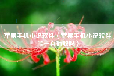 苹果手机小说软件（苹果手机小说软件能一直播放吗）
