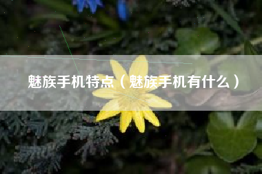 魅族手机特点（魅族手机有什么）