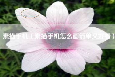 素描手机（素描手机怎幺画箭单又好看）