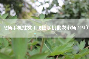 飞扬手机批发（飞扬手机批发市场 2024）