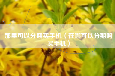 那里可以分期买手机（在哪可以分期购买手机）