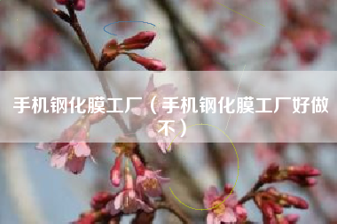 手机钢化膜工厂（手机钢化膜工厂好做不）