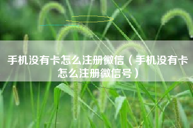 手机没有卡怎么注册微信（手机没有卡怎么注册微信号）
