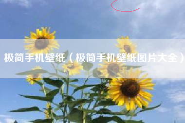 极简手机壁纸（极简手机壁纸图片大全）