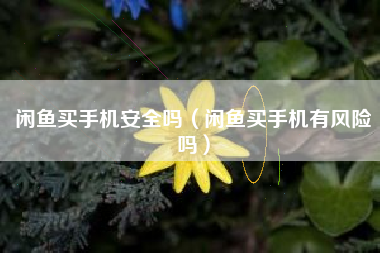 闲鱼买手机安全吗（闲鱼买手机有风险吗）