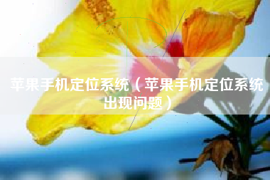 苹果手机定位系统（苹果手机定位系统出现问题）