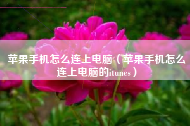 苹果手机怎么连上电脑（苹果手机怎么连上电脑的itunes）
