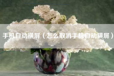 手机自动横屏（怎么取消手机自动横屏）