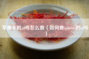 苹果手机id号怎么查（如何查iphone的id号）