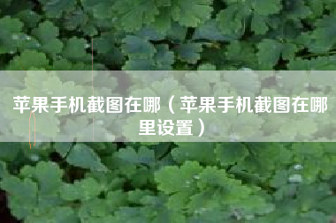 苹果手机截图在哪（苹果手机截图在哪里设置）