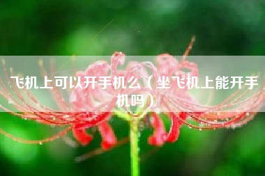 飞机上可以开手机么（坐飞机上能开手机吗）