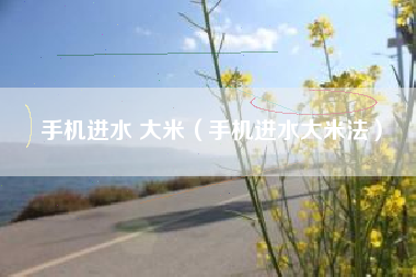 手机进水 大米（手机进水大米法）