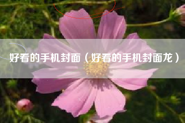 好看的手机封面（好看的手机封面龙）
