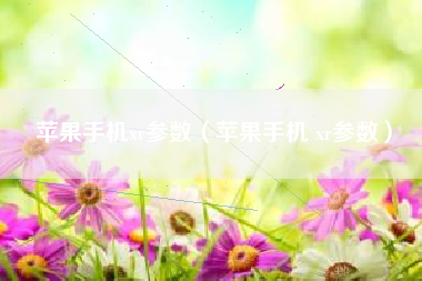 苹果手机xr参数（苹果手机 xr参数）