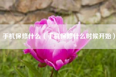 手机保修什么（手机保修什么时候开始）