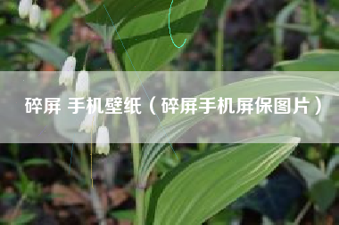碎屏 手机壁纸（碎屏手机屏保图片）