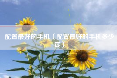 配置最好的手机（配置最好的手机多少钱）