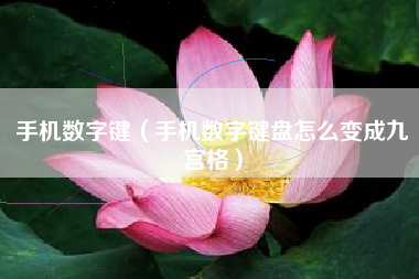 手机数字键（手机数字键盘怎么变成九宫格）