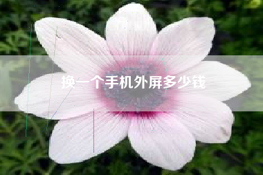 换一个手机外屏多少钱