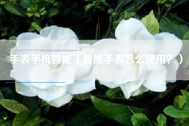 手表手机智能（智能手表怎么使用？）
