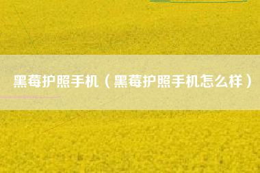 黑莓护照手机（黑莓护照手机怎么样）